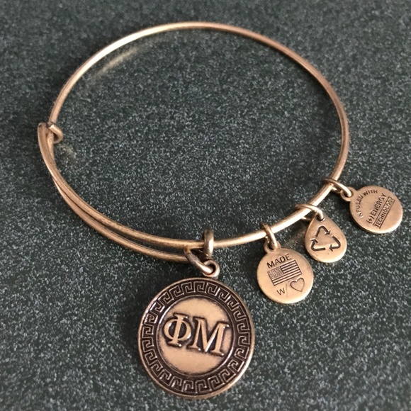 Alex and Ani Expandable Wire Bangle Bracelet 2015 - Picture 11 of 13